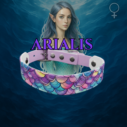 Arialis-Halak_sima #female-sima