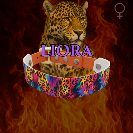 Liora-Oroszlán sima #female-sima