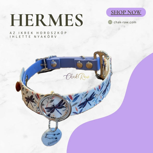 Hermes - collar inspired by the Gemini horoscope (05.21-06.21)