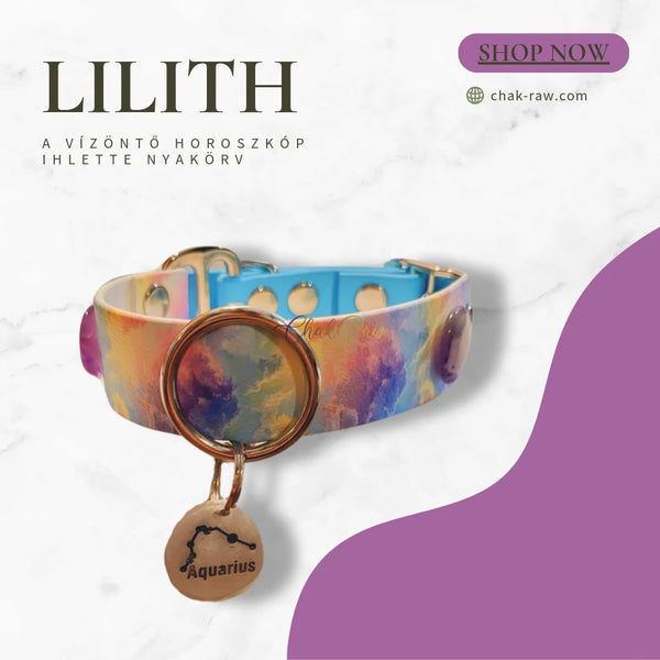 Lilith - a collar inspired by the Aquarius horoscope (01.20-02.18)