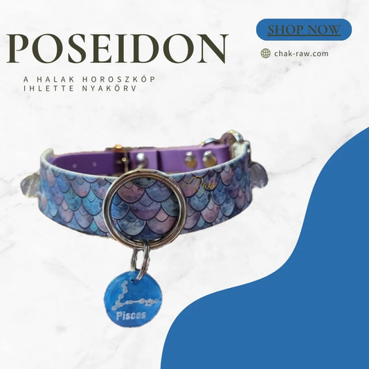 Poseidon - a Halak horoszkóp ihlette nyakörv (02.19-03.20)