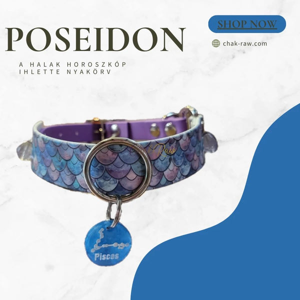Poseidon - collar inspired by the Pisces horoscope (02.19-03.20)